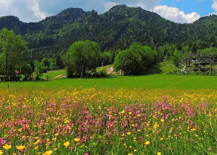 Streidlhof Lejlighed