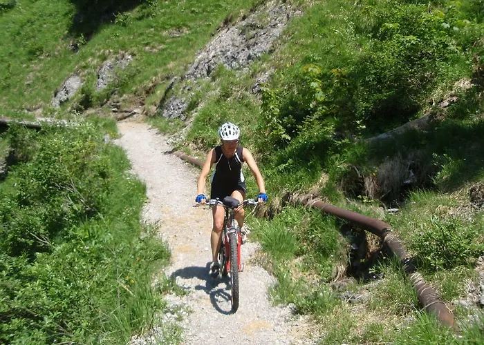 Streidlhof *